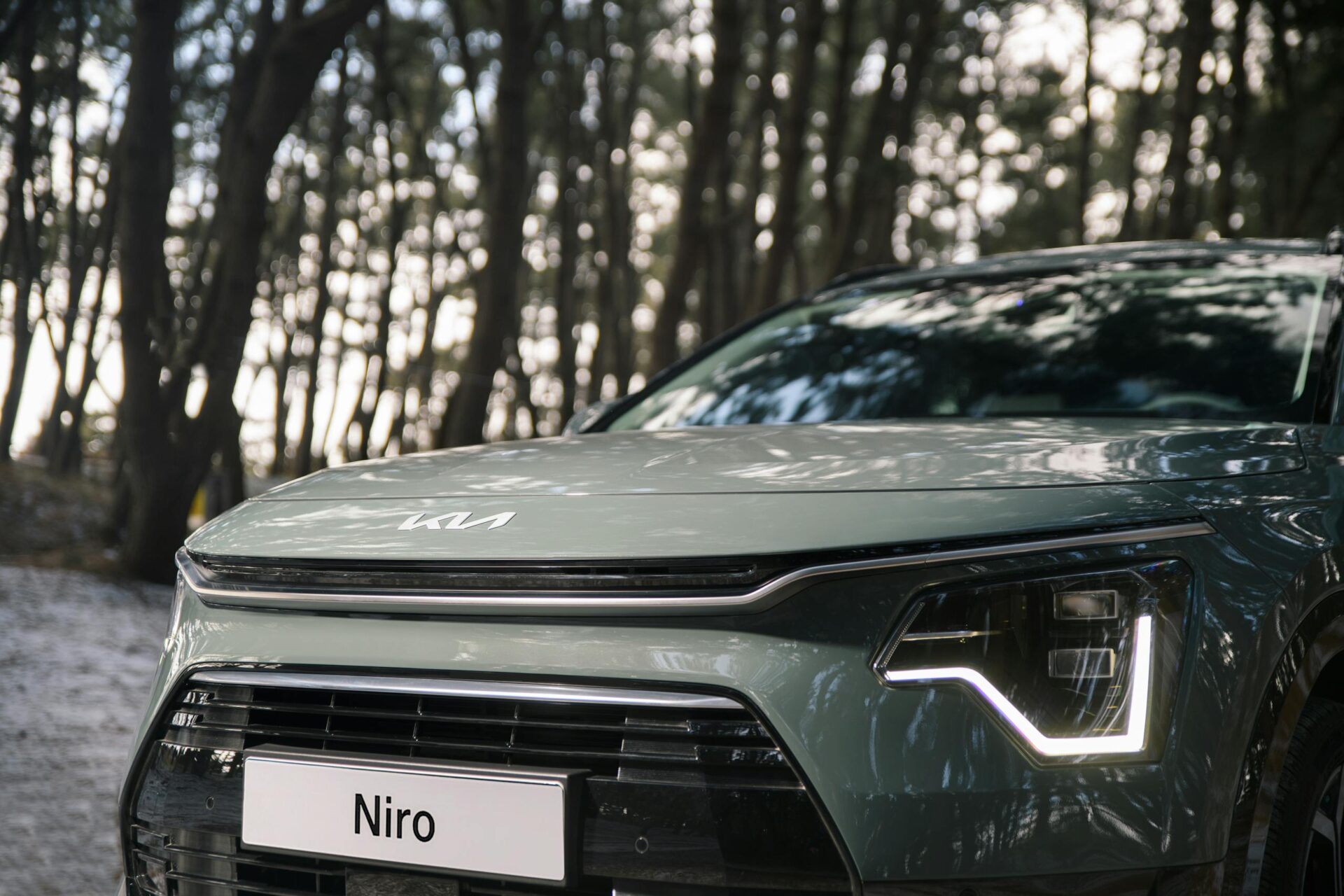Close-up of a modern car's front featuring sleek headlights in a forest setting.